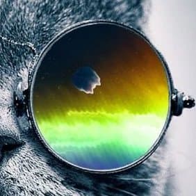 FaryClanie avatar